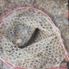 朽木の管理釣り場の川魚は屈辱の味