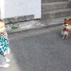 すずかけ村2時間2000歩の散歩でした(^。^)y-.。o○