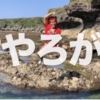 引っ越しました…子どもたちの「行動する」に学ぶ