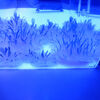 ２０２３／０７／１４　すみだ水族館