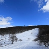 雪に埋もれたニホンスズラン群生地