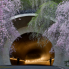 銀壁に染まる桜色🌸。MIHO MUSEUMで狙う究極のトンネル・リフレクション