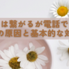 ネットは繋がるが電話できないときの原因と基本的な対処法