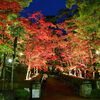 新潟絶景フルコース２日間ツアー【美人林＆清津峡＆松雲山荘ライトアップ】