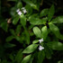 Nature snap #164
