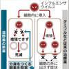 塩野義、インフル１日で治療　18年にも新薬実用化