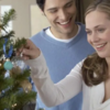 男性を励まし、性機能向上をサポートするために女性ができること
