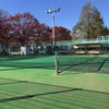 基礎練、ロールキャベツ、安藤証券