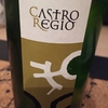 castro regio