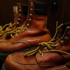 懐かしのＲｅｄＷｉｎｇ