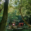 【三輪山 狭井神社あたり】春の到来 山の辺の道【清明な空気】