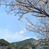⭐老爺元気のブログ記事No.14(R7年4月4日)」