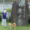 柴犬チャー、涼を求めて、静岡県東部の滝巡り！！