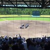 ようやく、「生」高校野球を楽しめました。