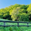 野山北 六道山公園