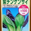 「紫チンゲンサイ」の水耕栽培に挑戦。本当に葉の表面だけ紫色になるのでしょうか？