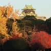 紅葉が大阪城を彩る