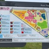 福山市　バラ公園のバラ