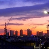 👼🐉素敵な〖大都市🗼東京〗の夕景色❣❣