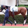帰厩なる！ いざ新潟へ！