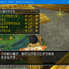 金冠３０種の釣り堀売り金策をやってみた（DQ10)