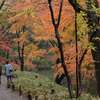 駒込の六義園、紅葉が美しすぎ！　「ぶらり地元旅」 #地元発見伝