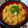 積丹でうに丼