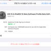 ベータ版iPadOS15入れる