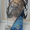 Microsoft MVP を受賞しました。