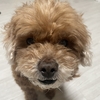 気付いては直し、また気付いて直す