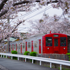 《JR九州》【写真館571】103系がまだ現役の筑肥線で桜が咲き誇った