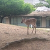日帰り奈良