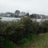 花野井の森友会その2