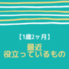 【1歳2ヶ月】最近役立っているもの