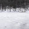 遅い北海道の雪解け、溶けて無くなる景色を見てみた！