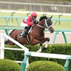 19/09/21 Japanese Racing