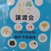 2022年11月19日(土) １１時 ~１４時 第22回    茂原珈琲 保護犬猫の譲渡会 開催です