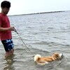 あづきの海水浴