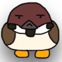 スズメ、拾っちゃった
