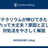 苔テラリウムが伸びてきた…これって大丈夫？原因と正しい対処法をやさしく解説