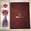 RubyWorld Conference 2018に行ってきた＆Ruby Prize最終ノミネート者として表彰された