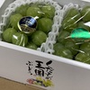 くだもの王国からの嬉しい葡萄。