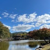 たまには奈良の地で厳かな霊気に触れる