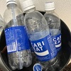 まさか熱にうなされながら年を越すとは思わないじゃない