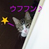 ウインクかと 思ったら…👀