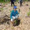 かがやいて水・空・緑のハーモニー　第68回全国植樹祭