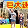 8月14日の動画