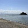 2023年　愛知県　竹島　潮干狩り情報！！はまぐりがたくさんいました！