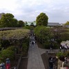4月18日～4月24日（上野呑み、上級救命講習・亀戸、布田・烏山・吉祥寺）