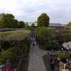 4月18日～4月24日（上野呑み、上級救命講習・亀戸、布田・烏山・吉祥寺）